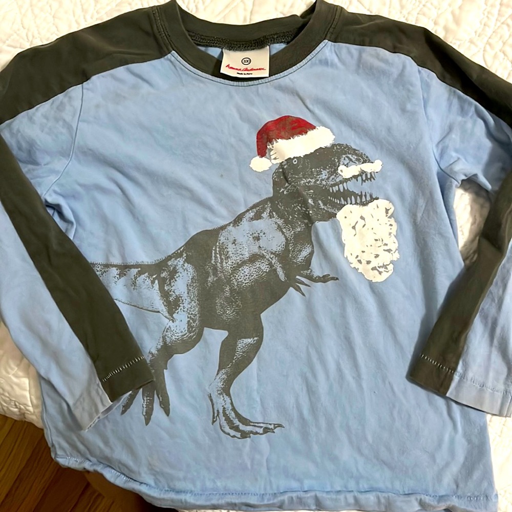 Hanna anderson tee